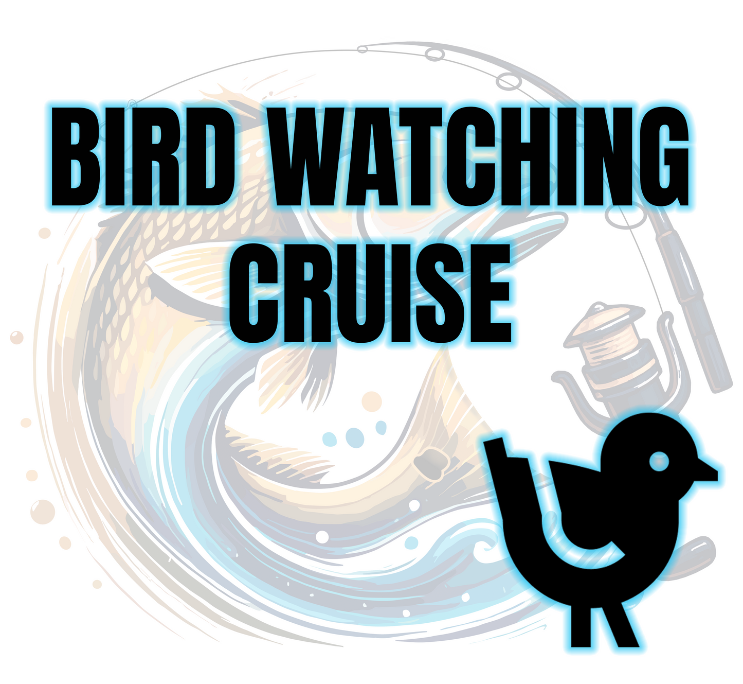 Bird Watching Cruise