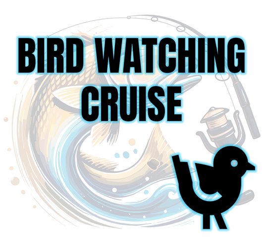 Bird Watching Cruise